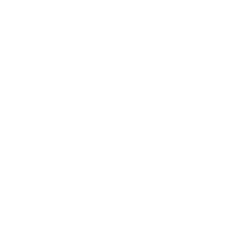 Global Beer Fest